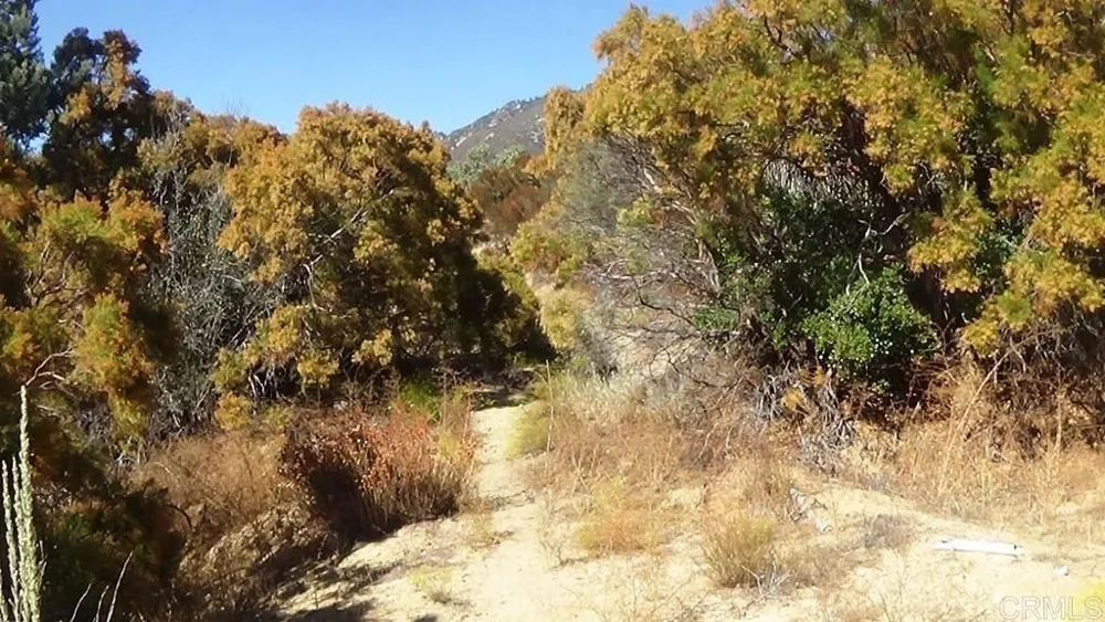 37245 Old Forest Road Anza, CA 92539