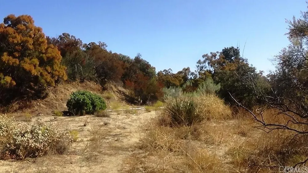 37245 Old Forest Road Anza, CA 92539