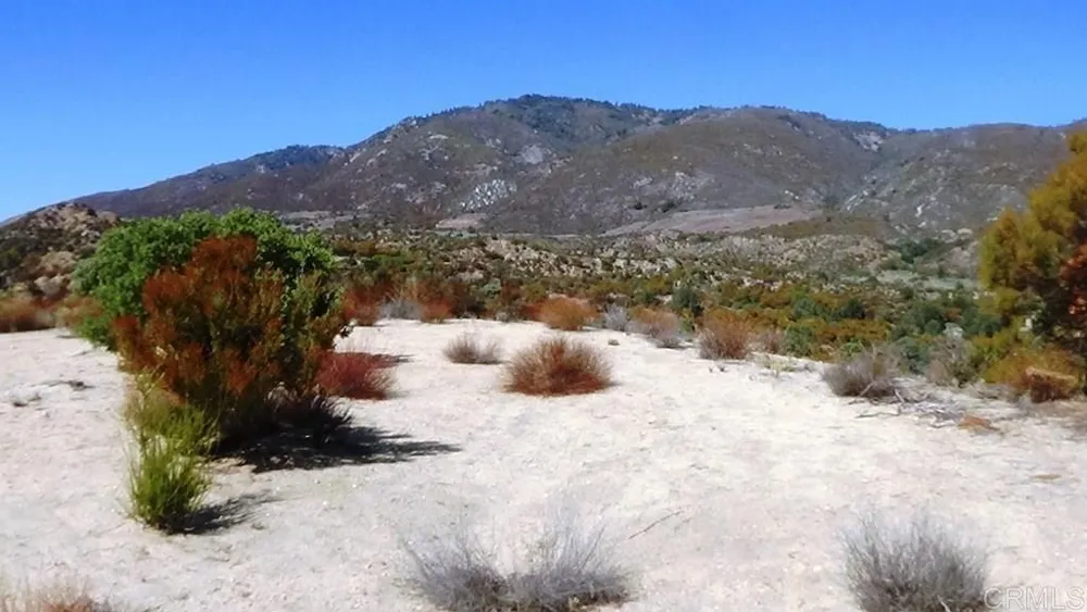 37245 Old Forest Road Anza, CA 92539