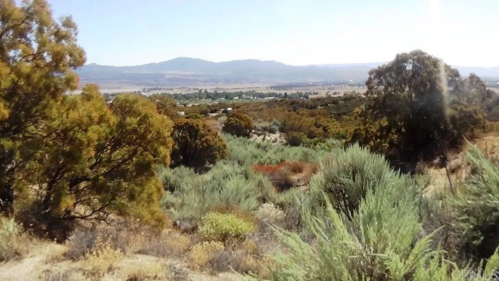 37245 Old Forest Road Anza, CA 92539