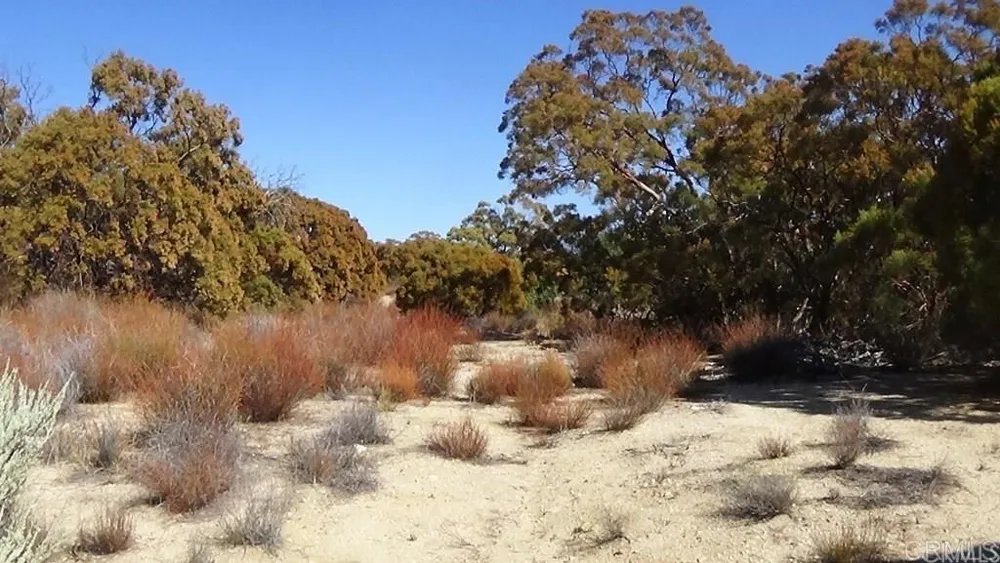 37245 Old Forest Road Anza, CA 92539
