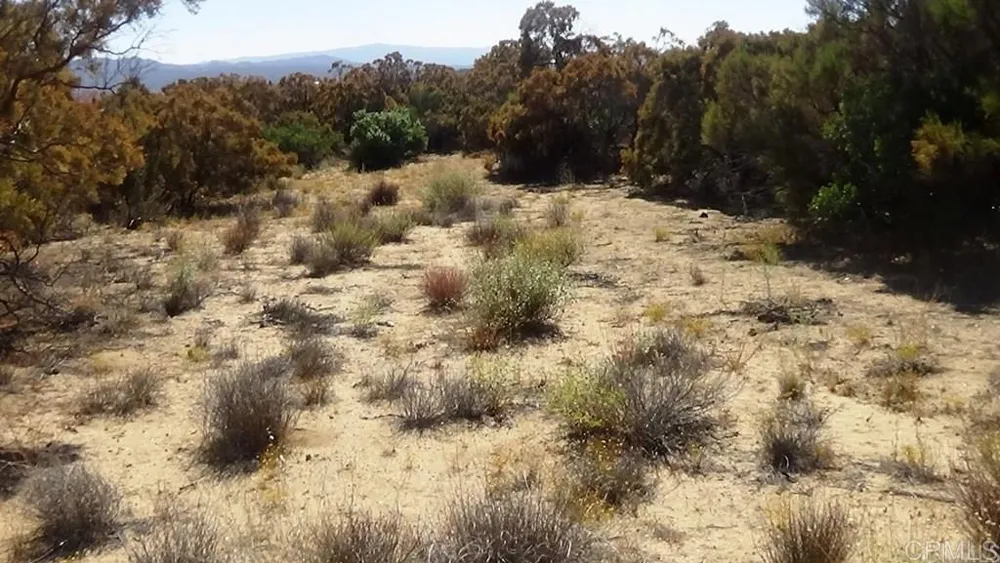 37245 Old Forest Road Anza, CA 92539