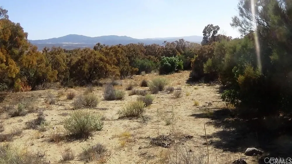 37245 Old Forest Road Anza, CA 92539