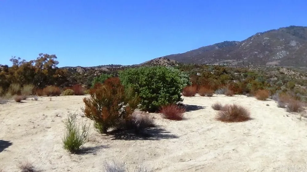 37245 Old Forest Road Anza, CA 92539
