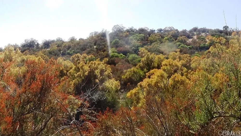 37245 Old Forest Road Anza, CA 92539