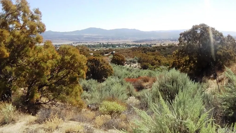 37245 Old Forest Road Anza, CA 92539