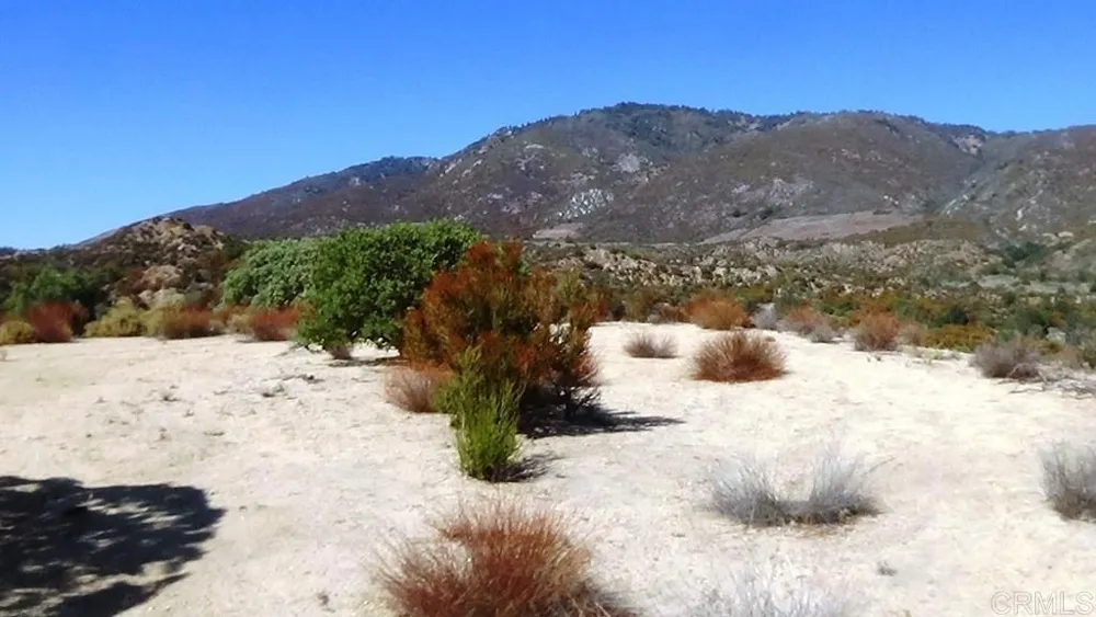37245 Old Forest Road Anza, CA 92539
