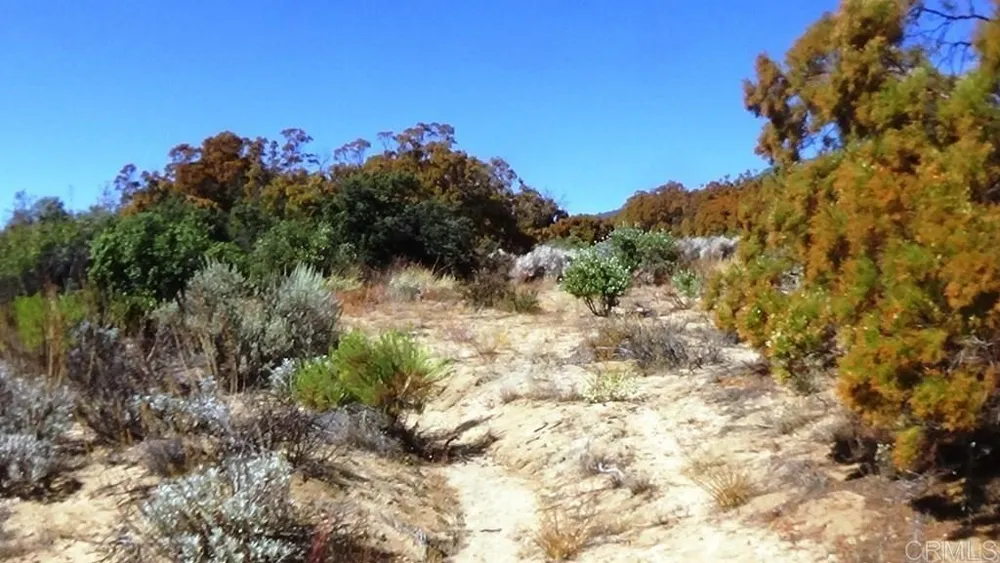 37245 Old Forest Road Anza, CA 92539