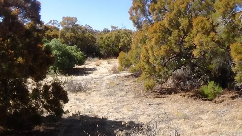 37245 Old Forest Road Anza, CA 92539
