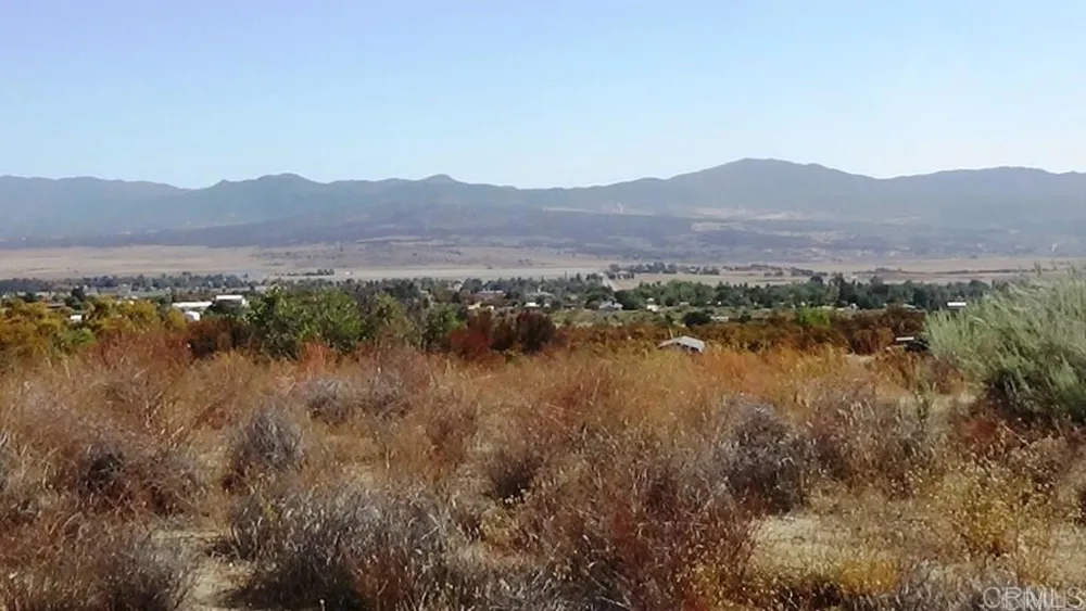37245 Old Forest Road Anza, CA 92539