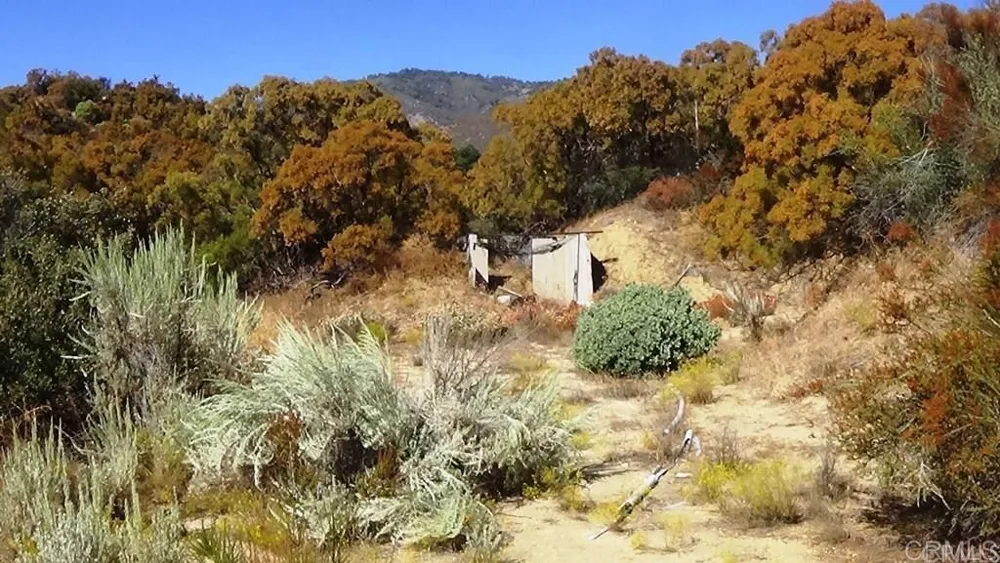 37245 Old Forest Road Anza, CA 92539