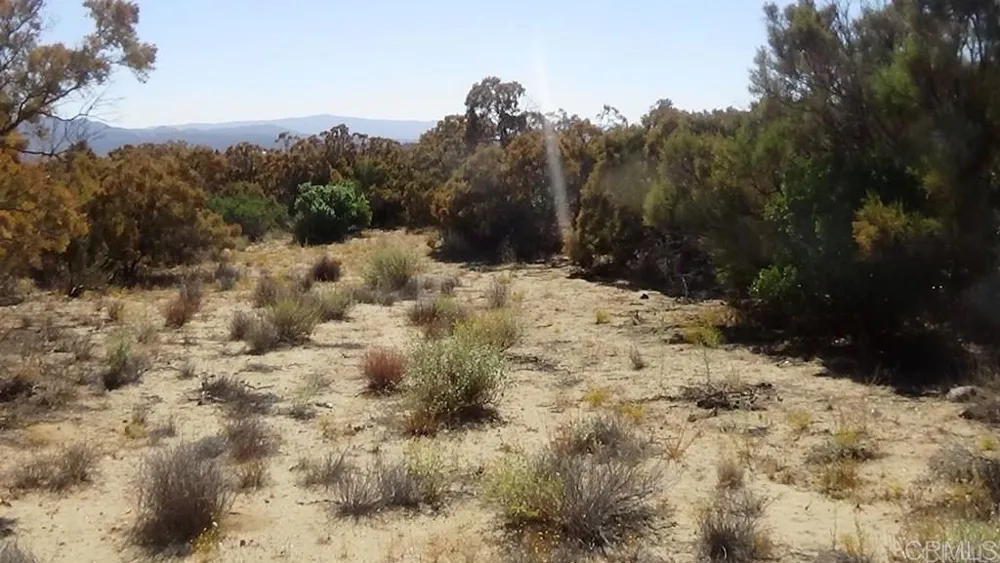 37245 Old Forest Road Anza, CA 92539