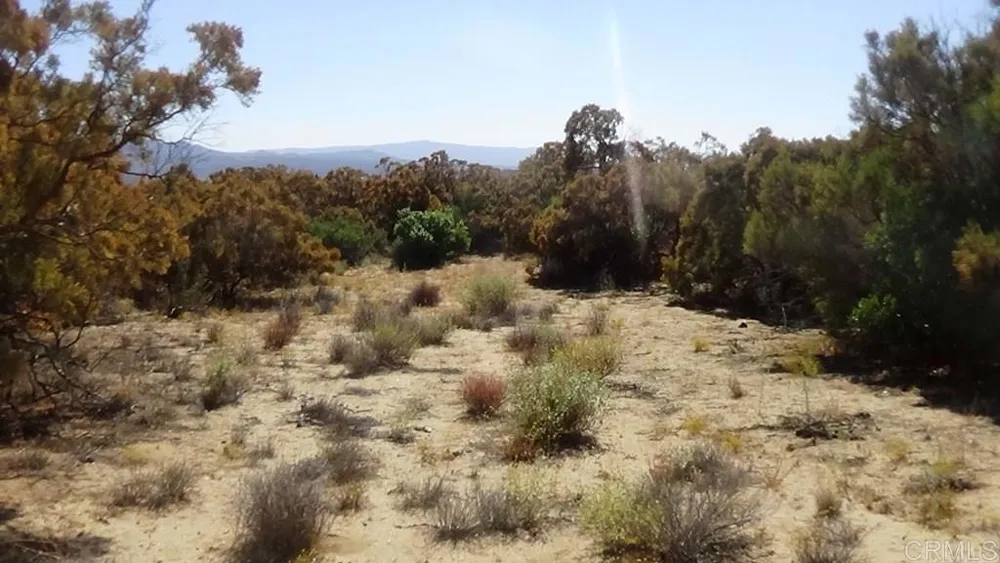 37245 Old Forest Road Anza, CA 92539