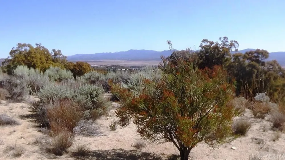 37245 Old Forest Road Anza, CA 92539