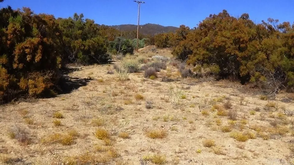 37245 Old Forest Road Anza, CA 92539