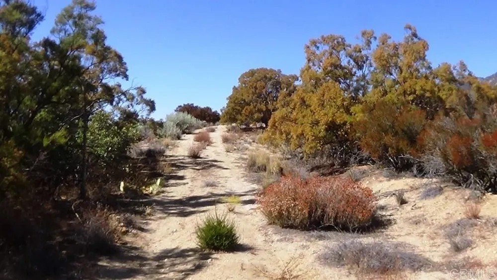 37245 Old Forest Road Anza, CA 92539
