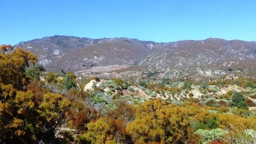 37245 Old Forest Road Anza, CA 92539