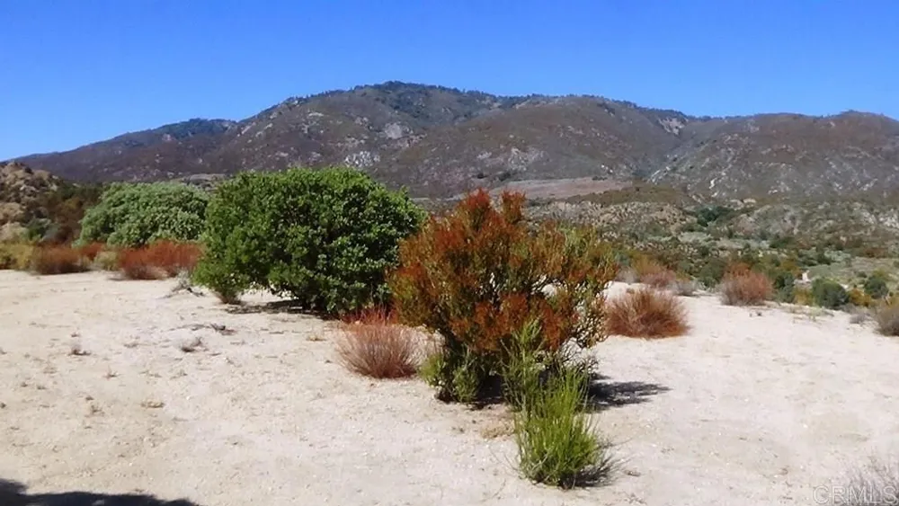 37245 Old Forest Road Anza, CA 92539