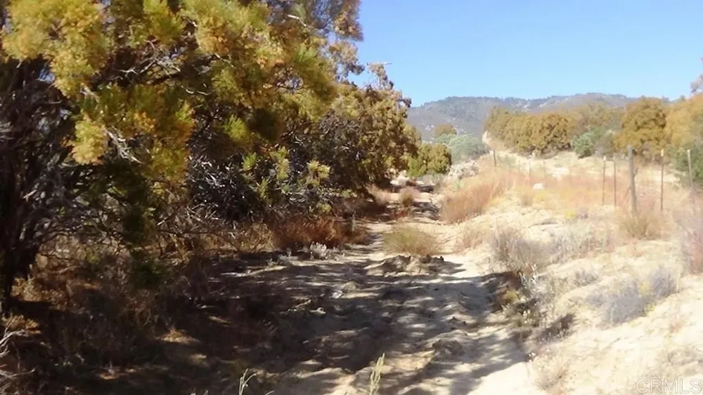 37245 Old Forest Road Anza, CA 92539