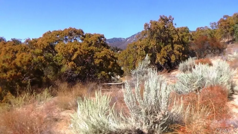 37245 Old Forest Road Anza, CA 92539