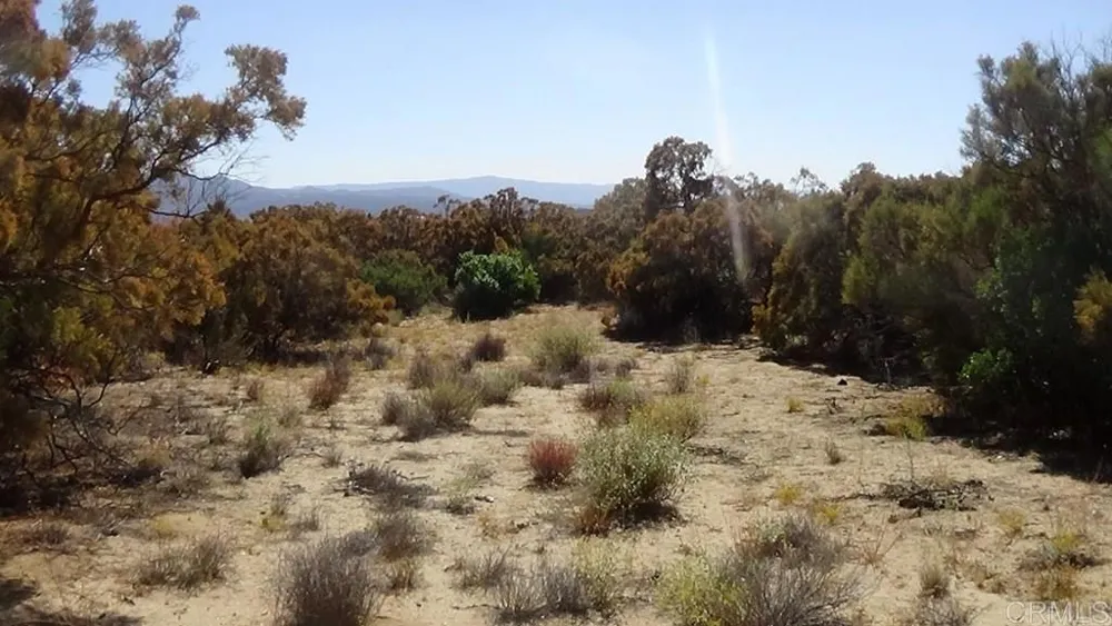 37245 Old Forest Road Anza, CA 92539