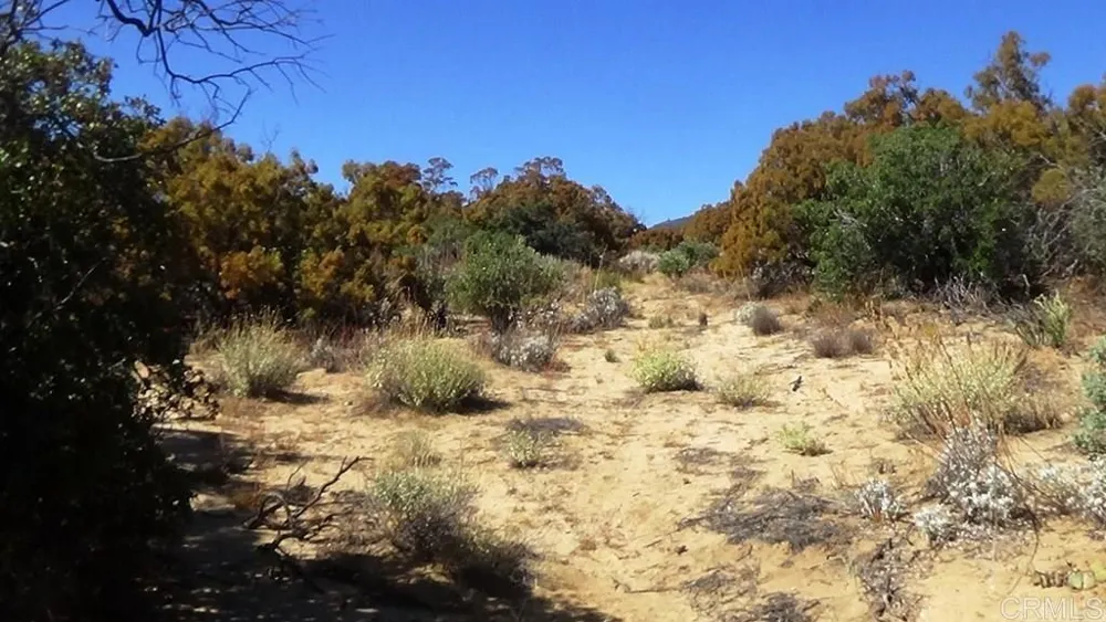 37245 Old Forest Road Anza, CA 92539
