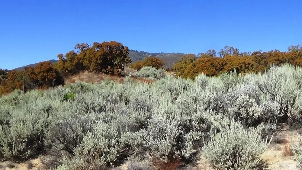 37245 Old Forest Road Anza, CA 92539