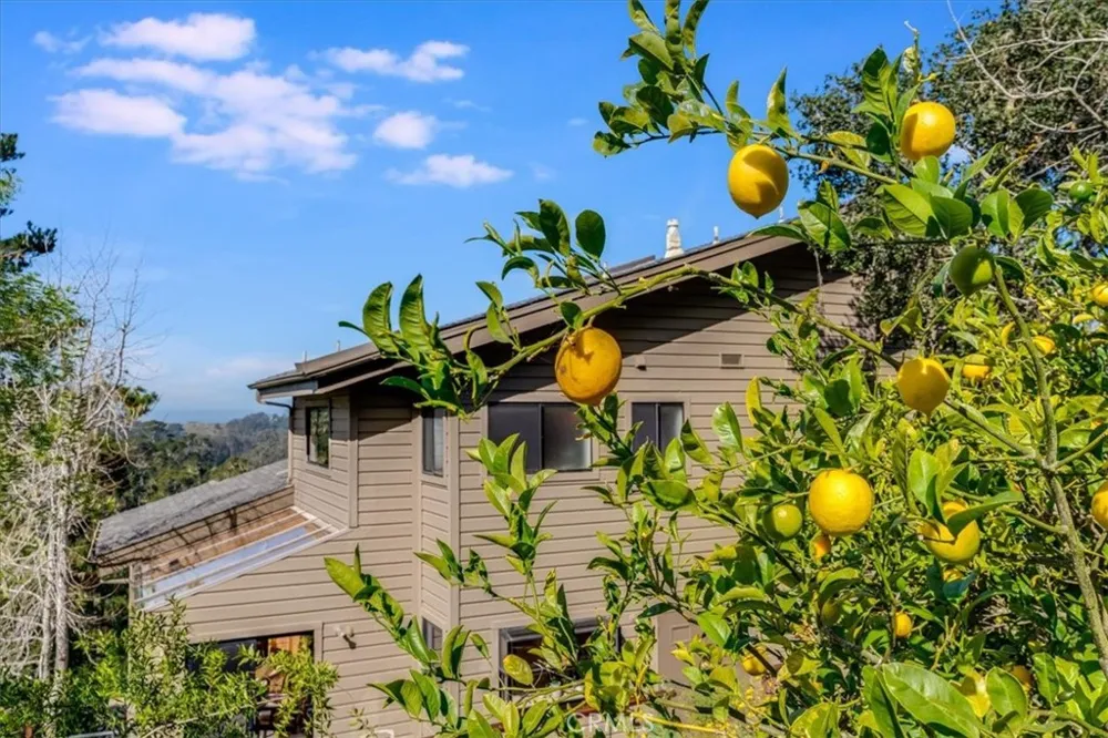 3171 Rogers Drive Cambria, CA 93428