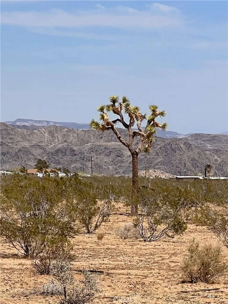 56172 Cone Boulevard Landers, CA 92285