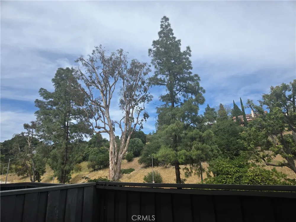 11311 Tampa Avenue #46 Porter Ranch, CA 91326