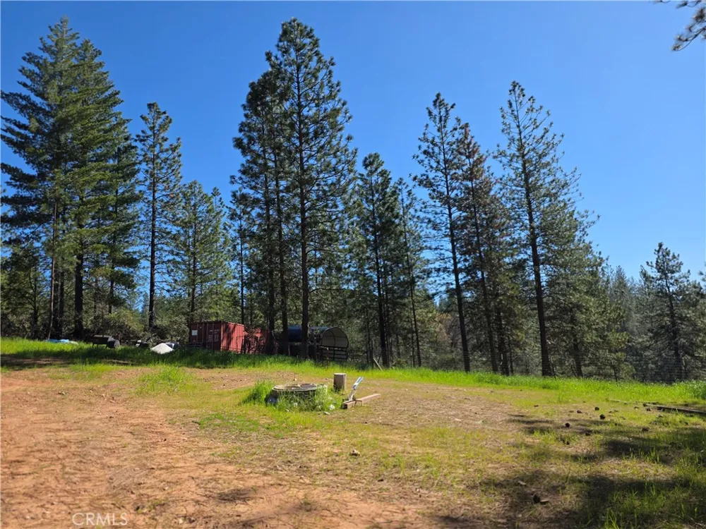 1151 Gorley Lane Mokelumne Hill, CA 95245