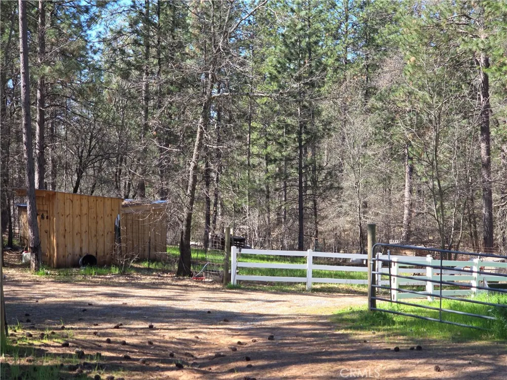 1151 Gorley Lane Mokelumne Hill, CA 95245