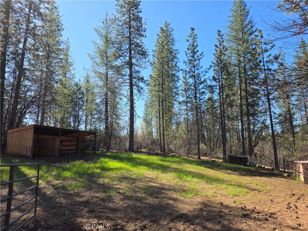 1151 Gorley Lane Mokelumne Hill, CA 95245