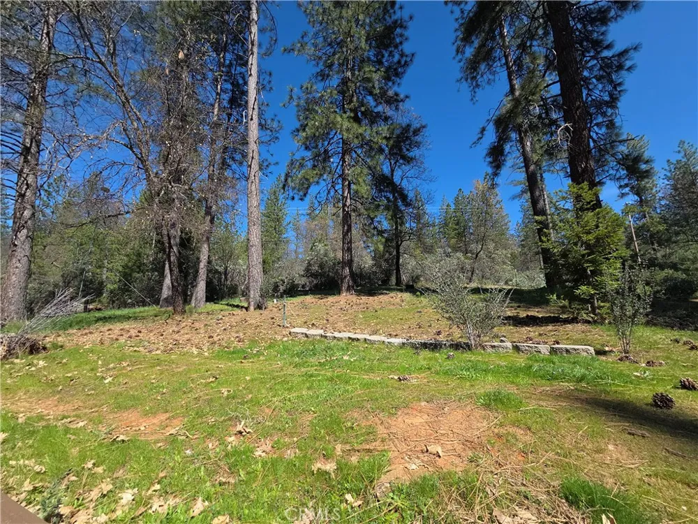 1151 Gorley Lane Mokelumne Hill, CA 95245