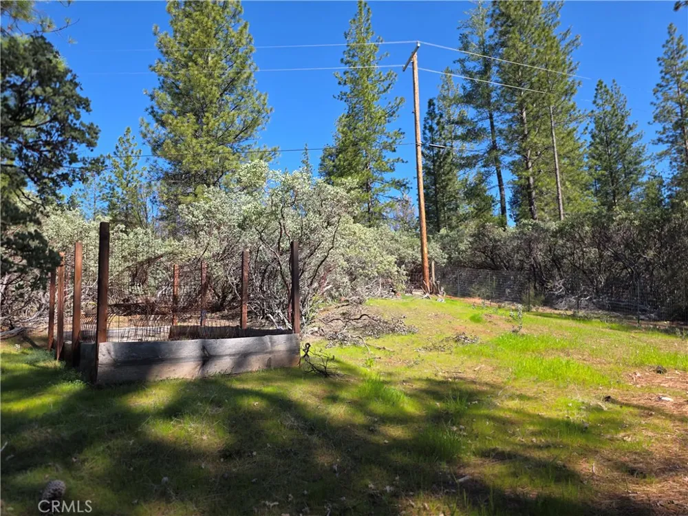 1151 Gorley Lane Mokelumne Hill, CA 95245