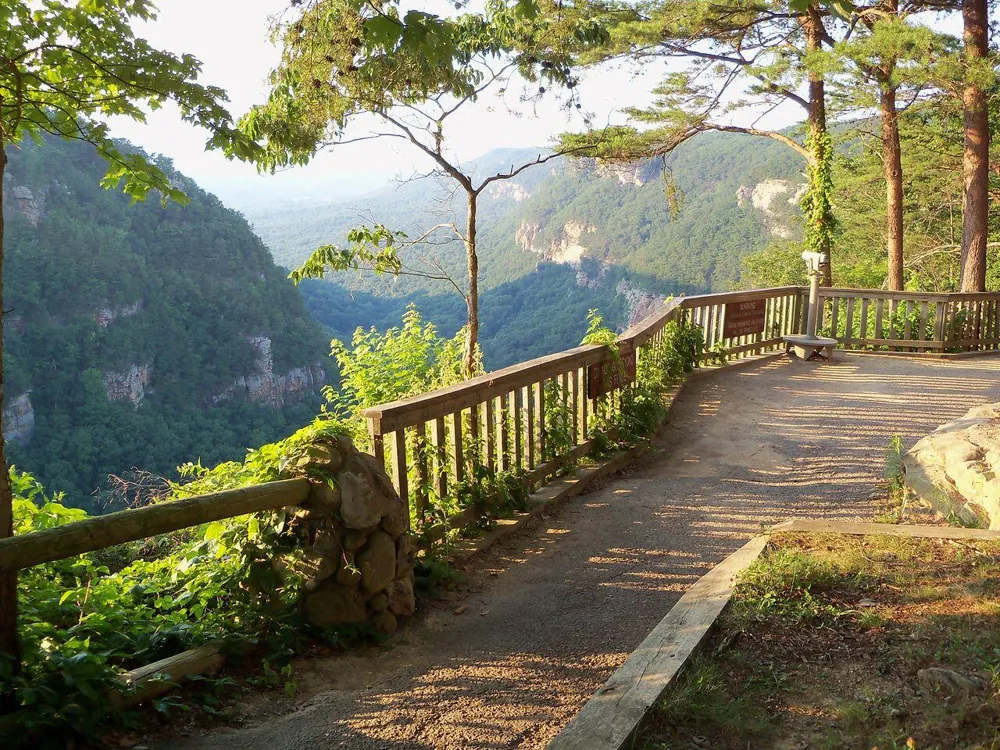 92 Founding Way Lookout Mountain, GA 30750