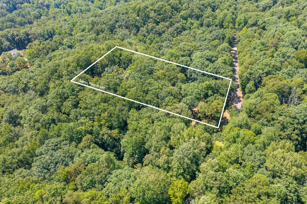 1558 Powder Springs Circle Flintstone, GA 30725