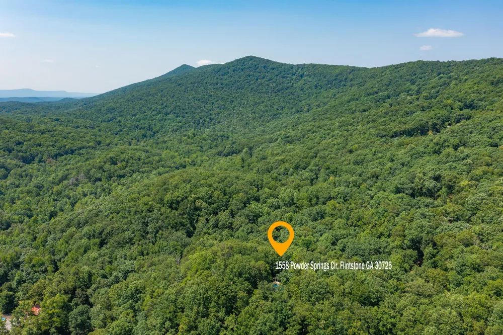1558 Powder Springs Circle Flintstone, GA 30725