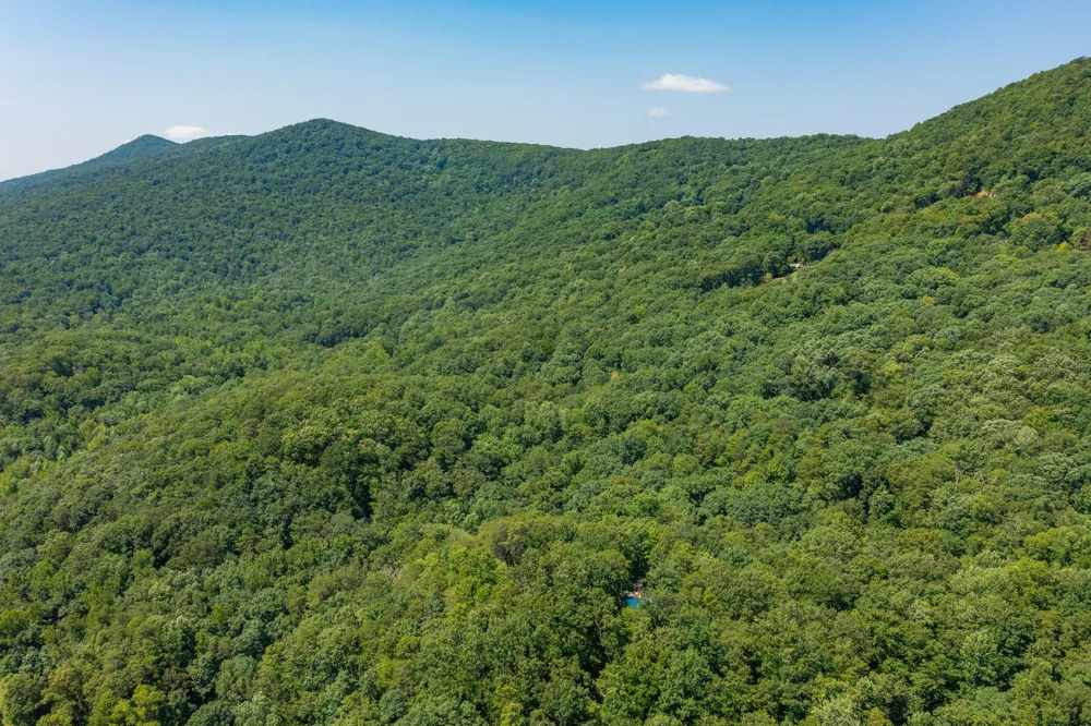 1558 Powder Springs Circle Flintstone, GA 30725