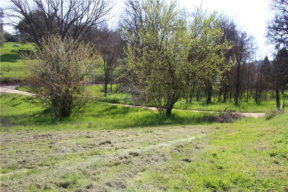 4107 Old Highway Mariposa, CA 95338