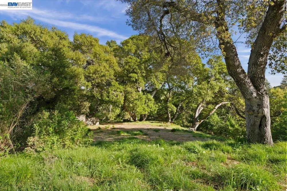 Silverwood Dr Lafayette, CA 94549
