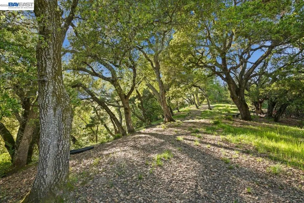 Silverwood Dr Lafayette, CA 94549