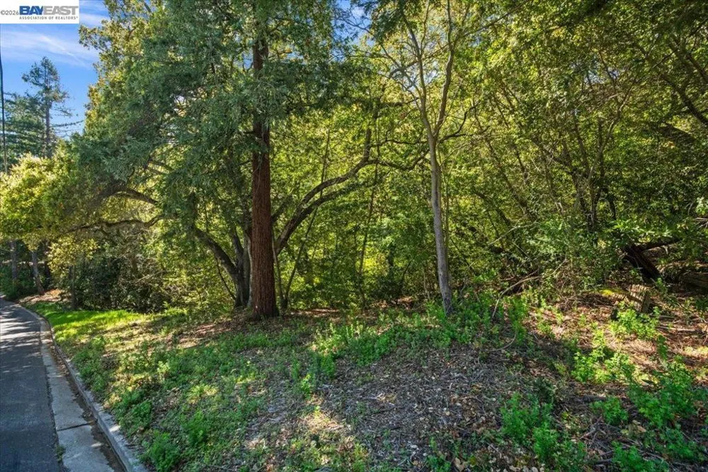 Silverwood Dr Lafayette, CA 94549
