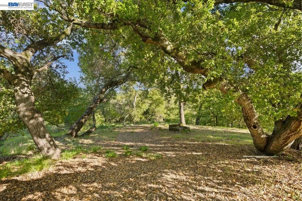 Silverwood Dr Lafayette, CA 94549
