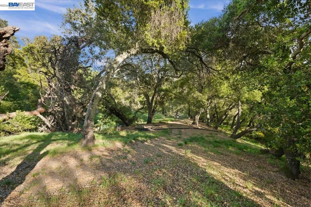 Silverwood Dr Lafayette, CA 94549
