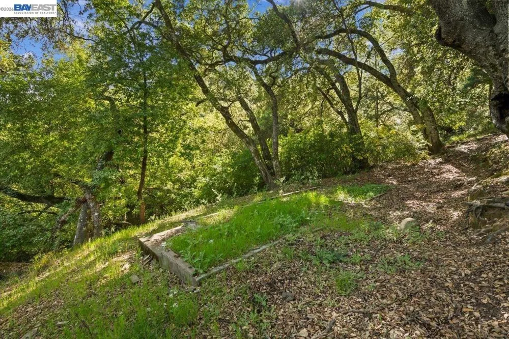 Silverwood Dr Lafayette, CA 94549