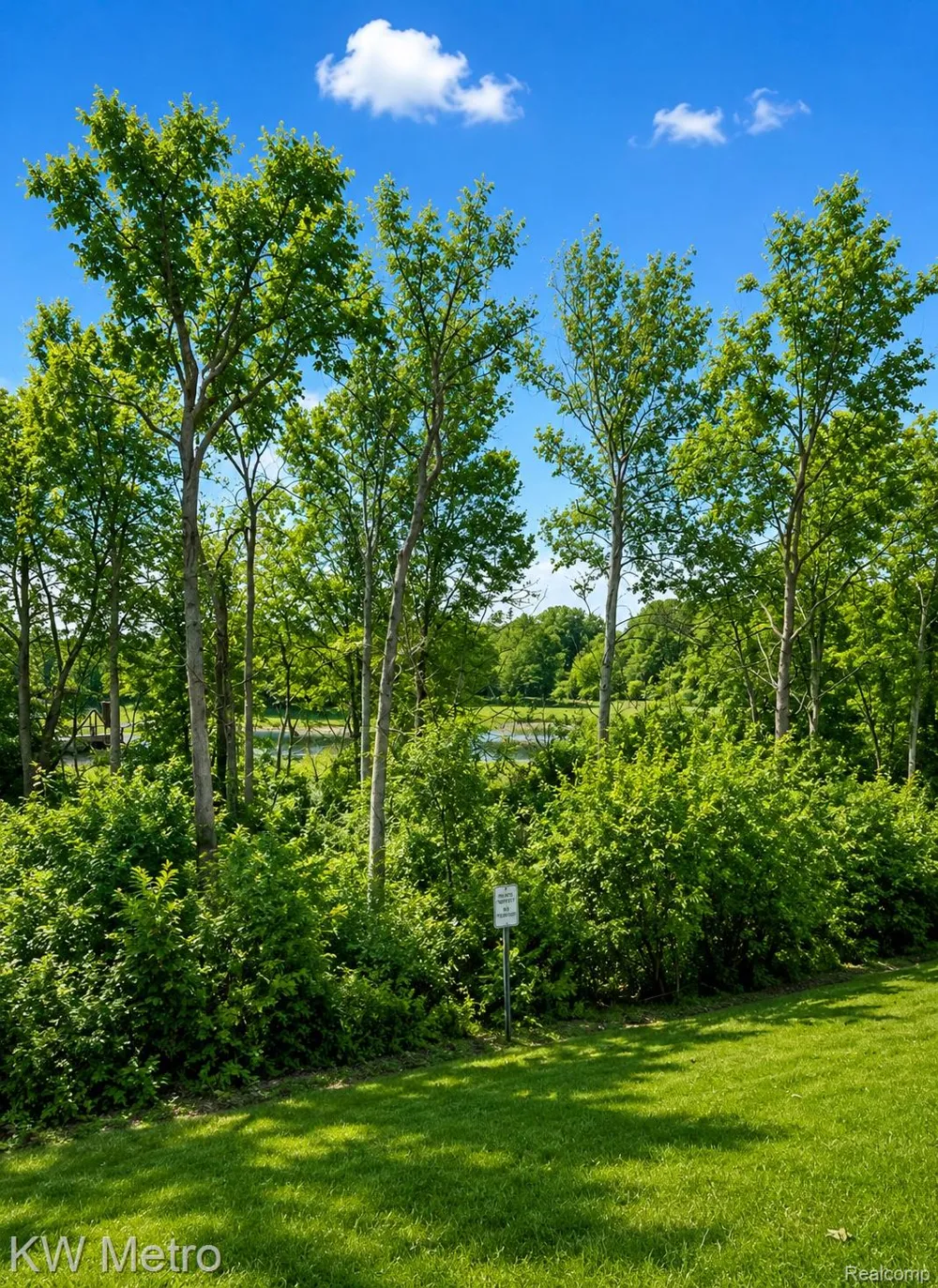 11773 Sycamore Drive #25 Plymouth City, MI 48170