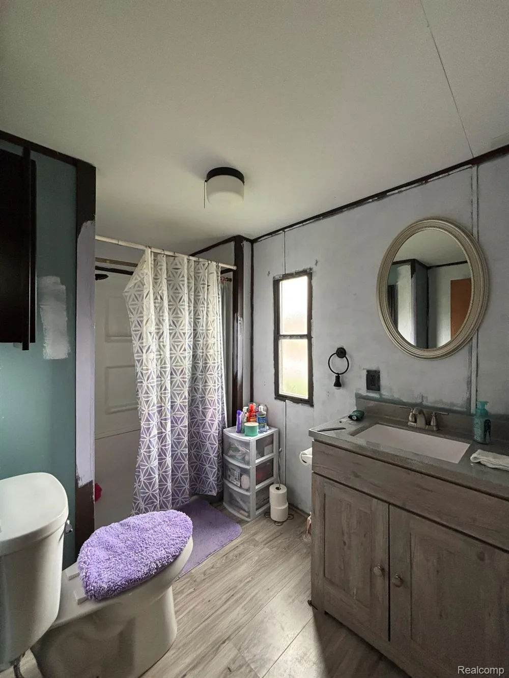 225 W Thornridge Lane Mt Morris City, MI 48458