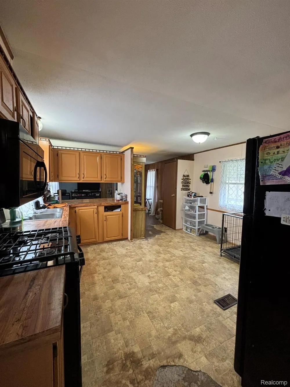 225 W Thornridge Lane Mt Morris City, MI 48458