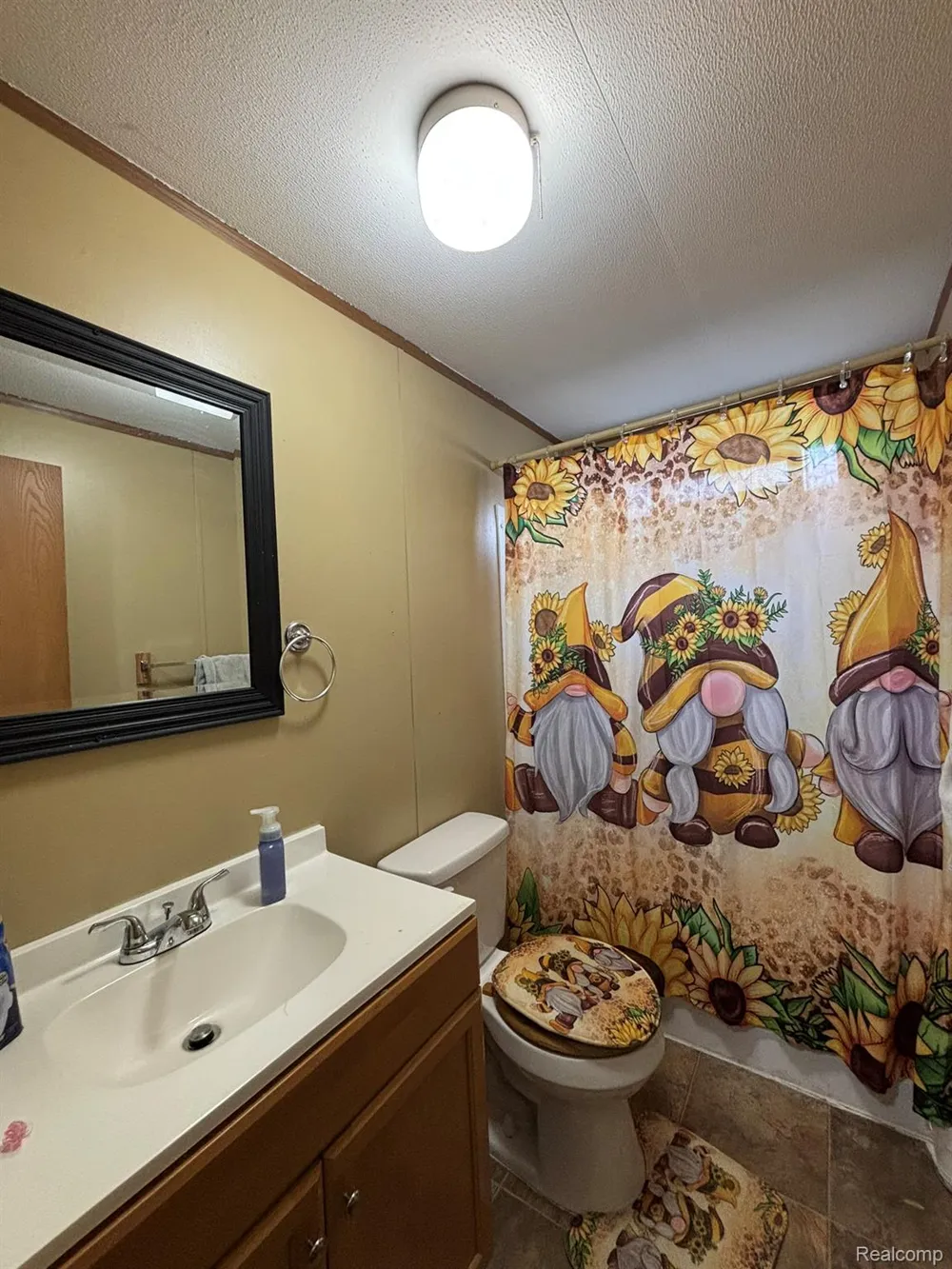 225 W Thornridge Lane Mt Morris City, MI 48458